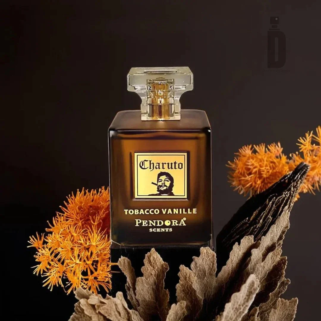 Charuto Tobacco Vanille 100ml EDP - Paris Corner