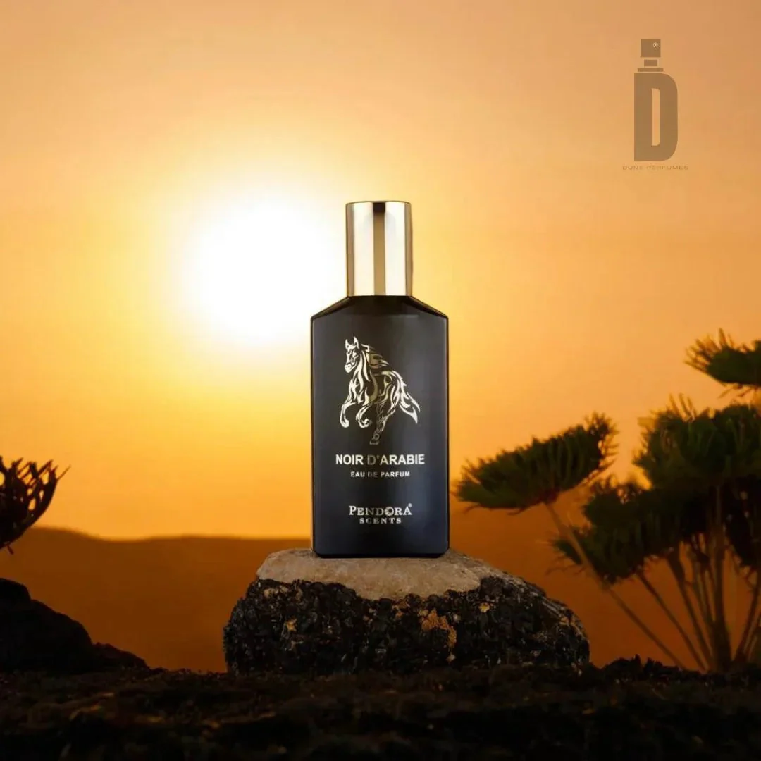 Noir D'arabie Pendora 100ml EDP - Paris Corner