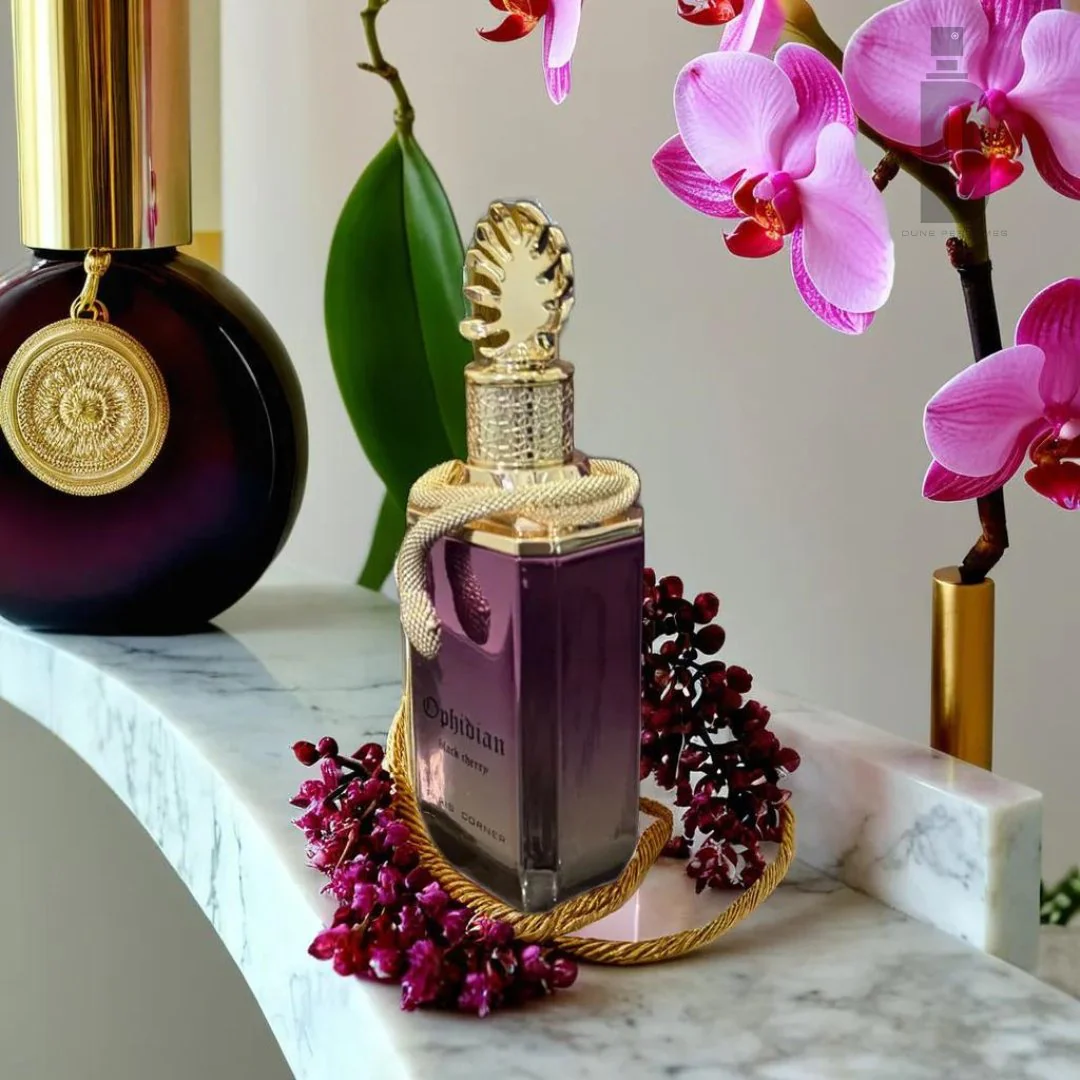 Ophidian Black Cherry 100ml EDP - Paris Corner